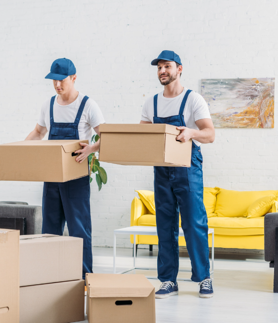 Movers carrying boxes